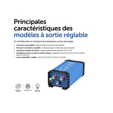 Miniature Convertisseur Orion CC-CC IP20 12/24V 20A - VICTRON N° 1